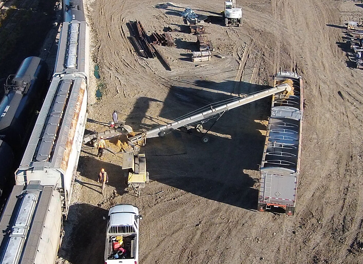 Overhead view of daddy long legs